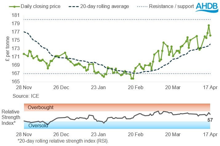 Line graph of UK feed wheat futures May-26 contract prices over the past six months.